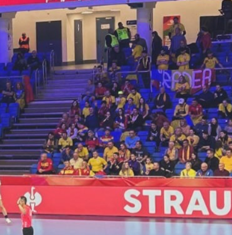 suporteri-romania-handbal6