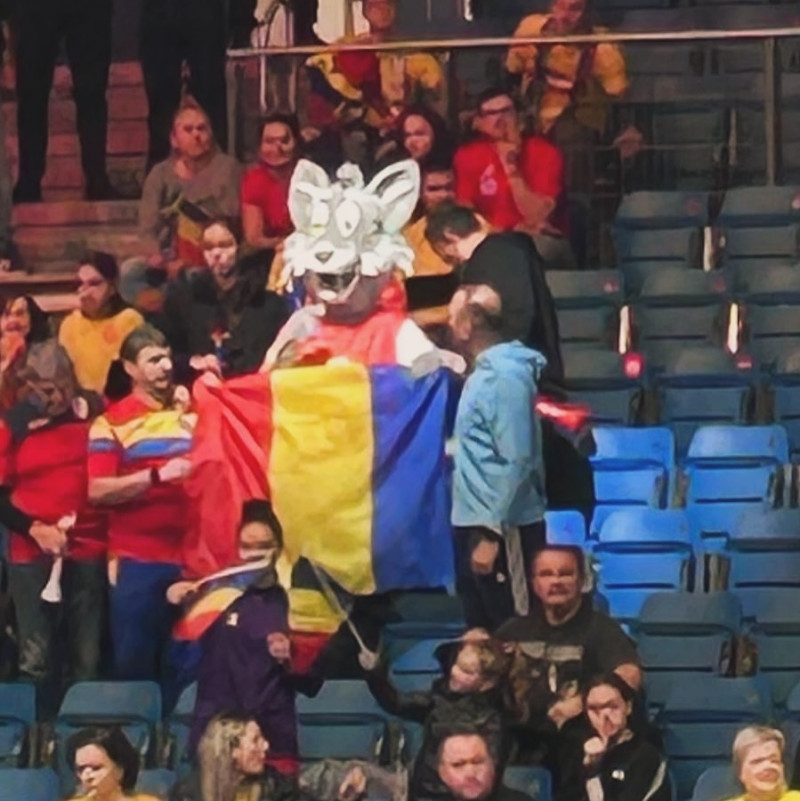 suporteri-romania-handbal7