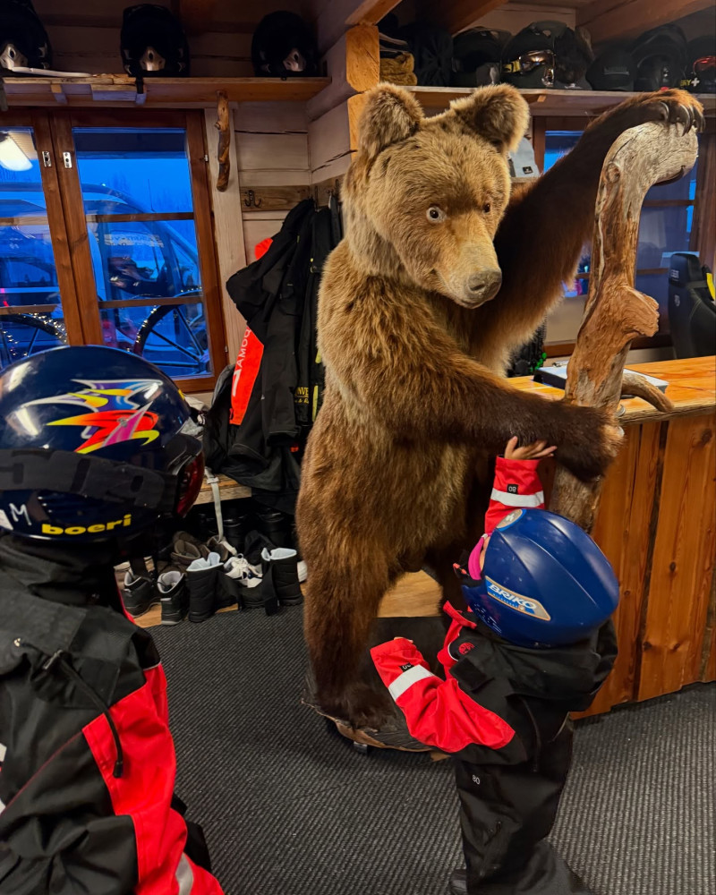 georginagio_1735045125_3530136831626718555_2004882586