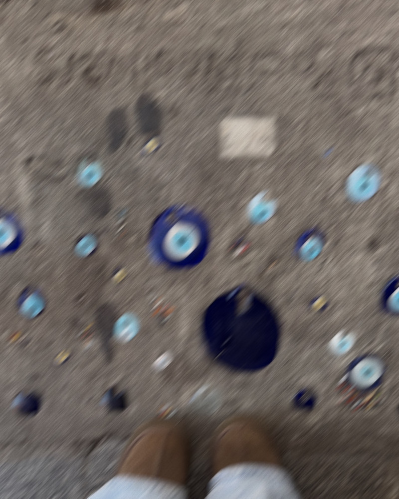 ioanastan__1731079664_3496872136082496138_2026157972