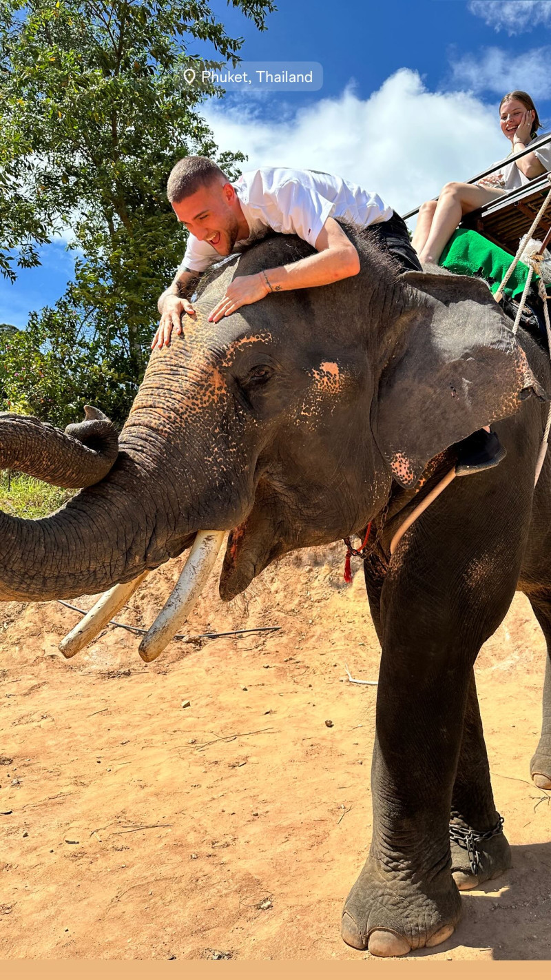 daniel.birli_1735383887_1793611517 (1)