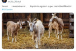 Captură de ecran 2025-01-13 080055