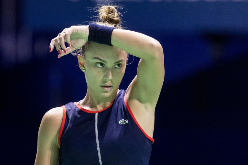 Japan vs Romania - Billie Jean King Cup Finals, Malaga, Spain - 14 Nov 2024