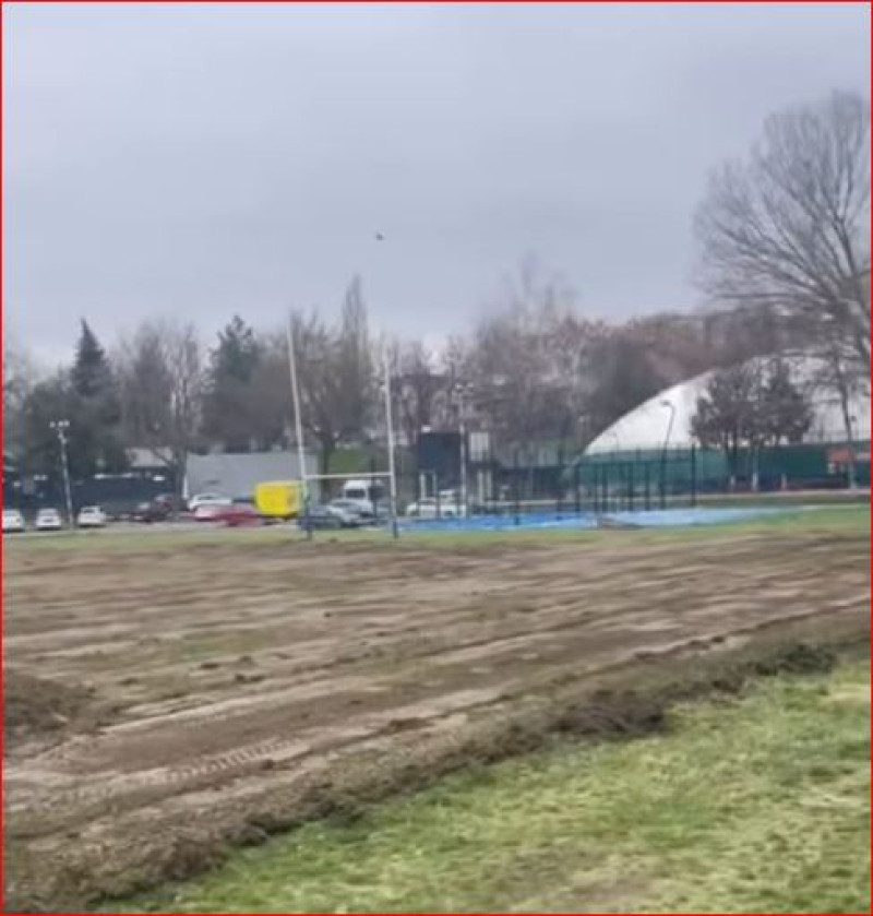 teren academie adrian mutu (11)