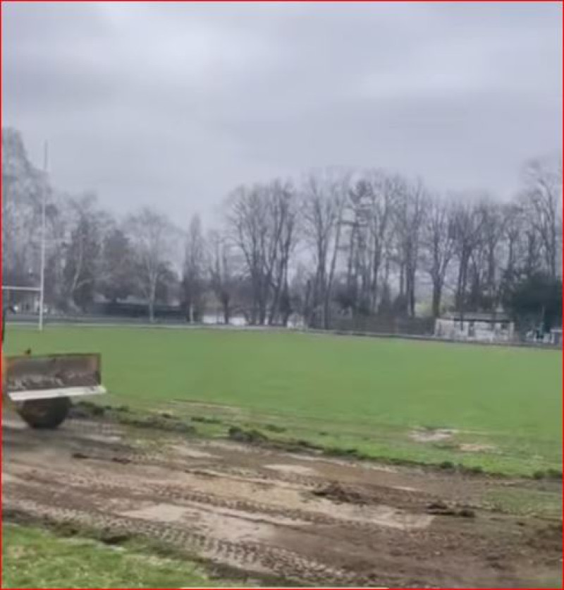 teren academie adrian mutu (15)
