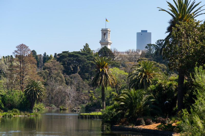 Melbourne botanic gardens.