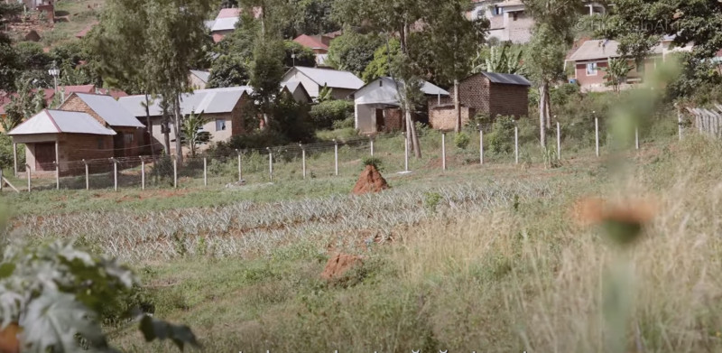 Screenshot 2025-03-29 at 17.05.28