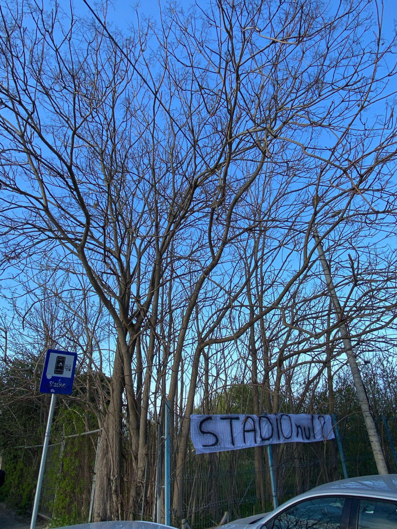 487348415_1301326281481024_7969210495109115498_n