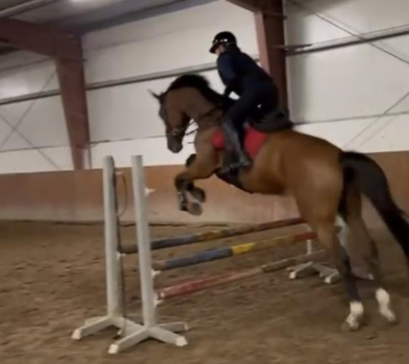 Screenshot 2025-05-02 at 19.52.58