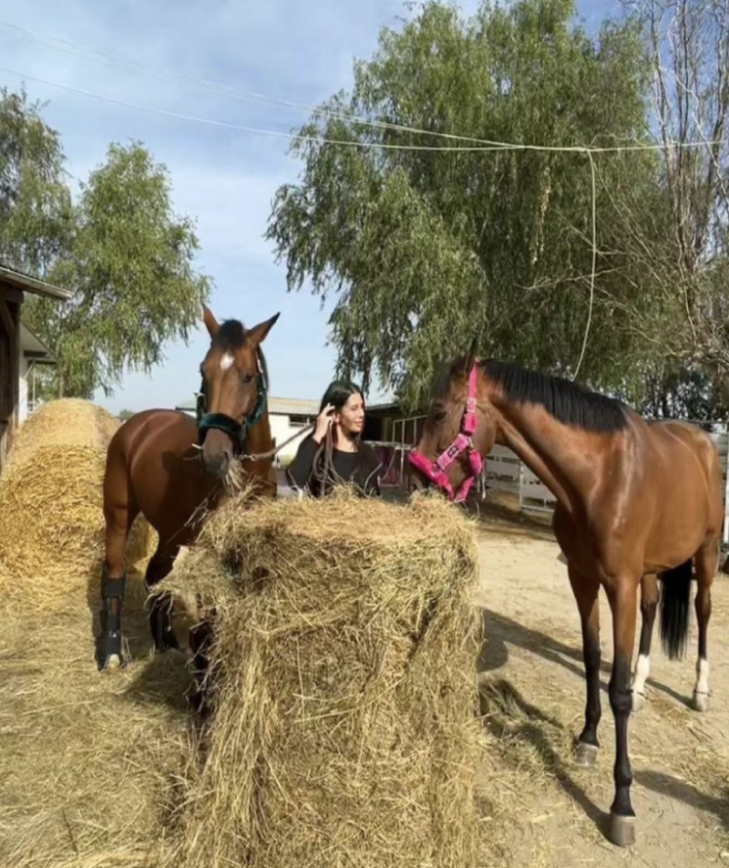 Screenshot 2025-05-02 at 19.53.05