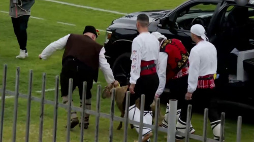 Scene rar văzute pe stadion! Fanii din Dobrogea i-au adus un miel cadou antrenorului după promovare
