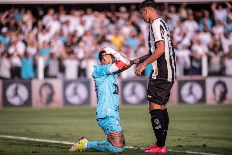 Santos V Botafogo - Brasileirao 2025, Sao Paulo, Brazil - 01 Jun 2025