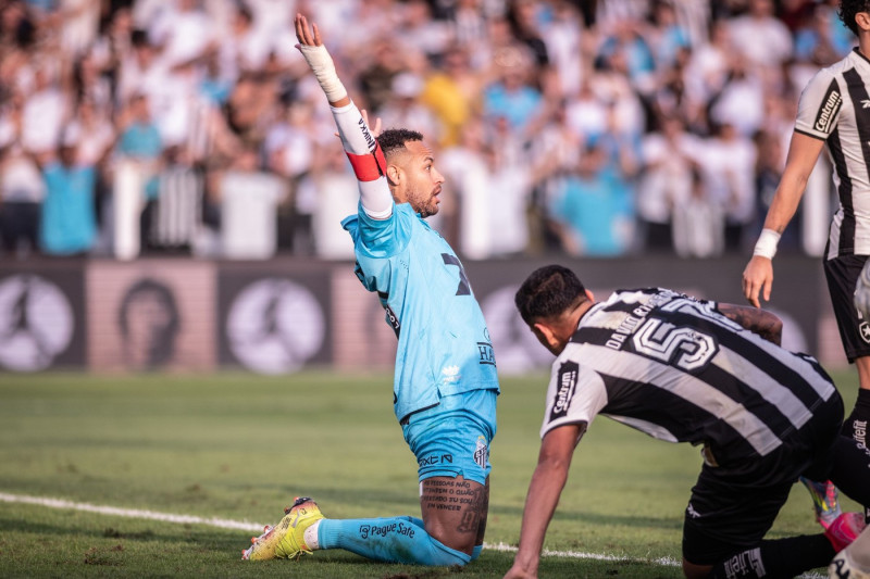 Santos V Botafogo - Brasileirao 2025, Sao Paulo, Brazil - 01 Jun 2025