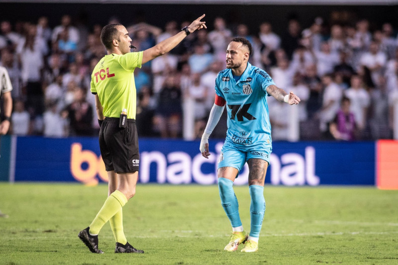 Santos v Botafogo - Brasileirao 2025