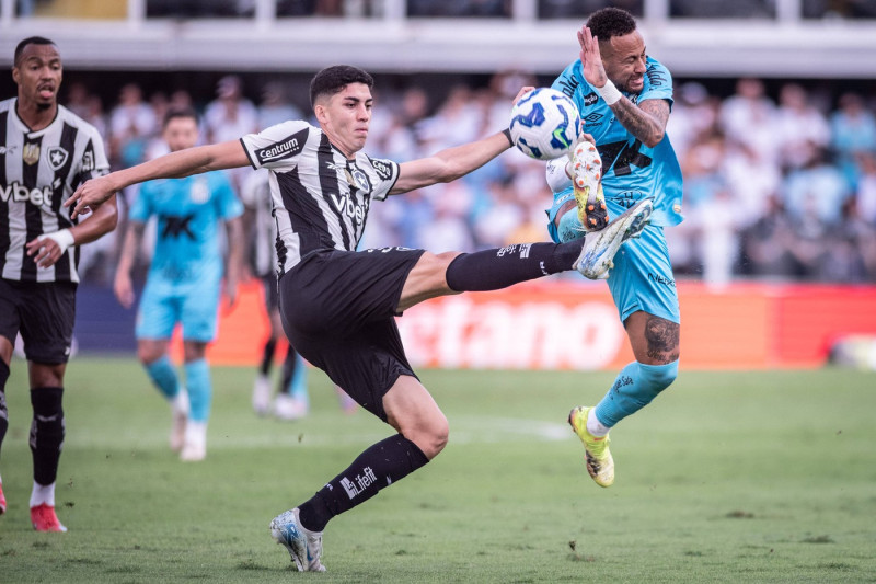 Santos v Botafogo - Brasileirao 2025