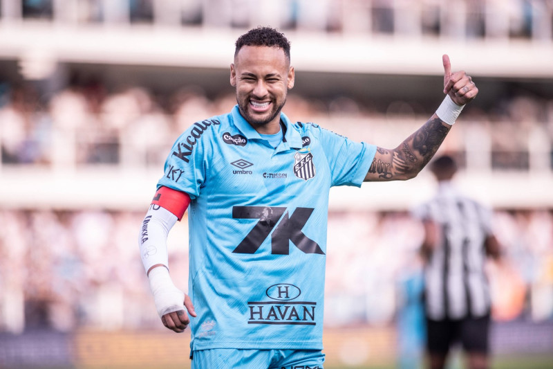 Santos v Botafogo - Brasileirao 2025