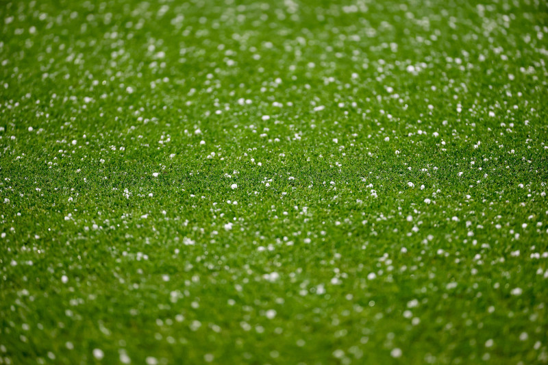 Nations League Semi-Final: Germany vs Portugal 1:2, Allianz Arena, Munich, Bavaria - 04 Jun 2025