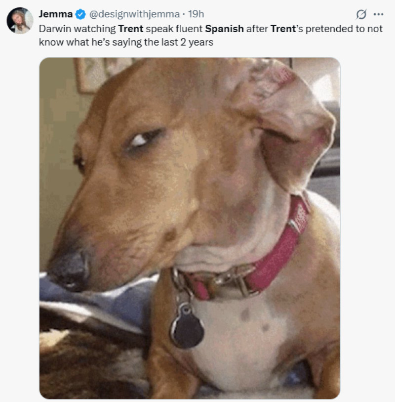 trent meme1