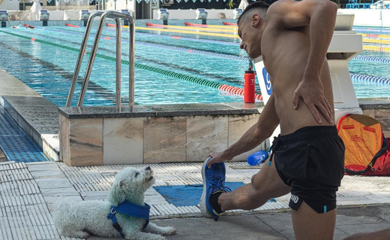 david popovici catel