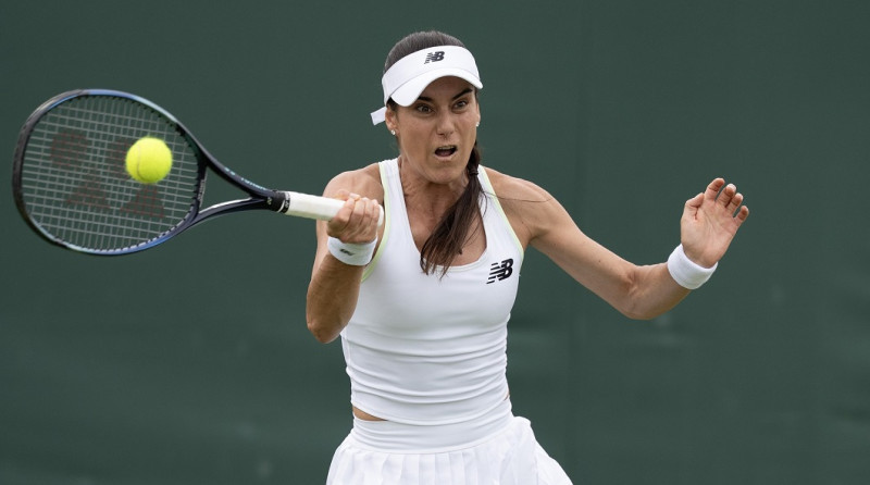 Tennis: Wimbledon Championships