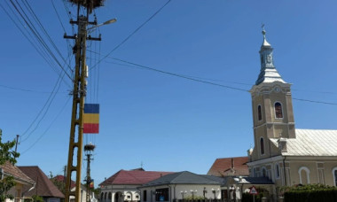Simbol național batjocorit la Maramureș: tricolor din tablă zincată, murdar cu găinaț, la 71 de euro bucata