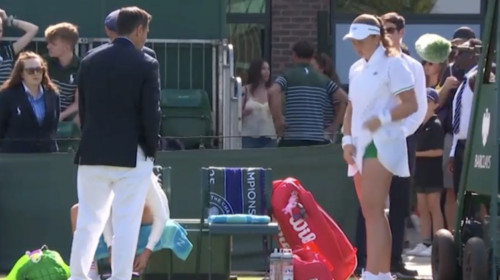 Scene cum rar se văd, la Wimbledon: enervată la culme, a recurs la un ”gest extrem” după ce arbitrul s-a dus direct la ea
