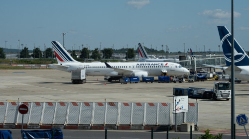 Un rus s-a dus la Paris pentru a-și cere iubita în căsătorie, dar a fost arestat pe loc!