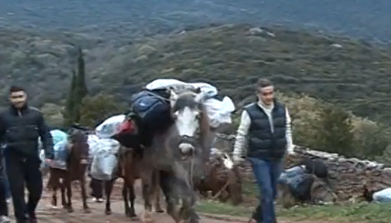 gigi-becali-muntele-athos4