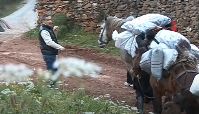 gigi-becali-muntele-athos3