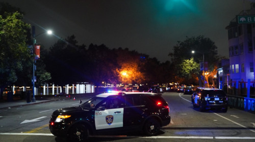 Un fost sportiv a murit în timp ce se afla în custodia poliţiei, după o spargere