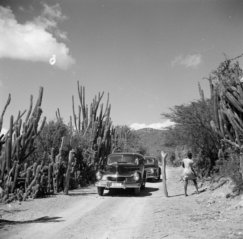 Travel to Suriname and the Netherlands Antilles Road on Curaçao at country house Cut with roadblock Date: 1947 Location: Curaçao Keywords: cars, landscapes, roads