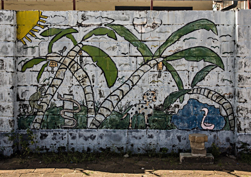 Wall painting in Paramaribo in Suriname / photo
