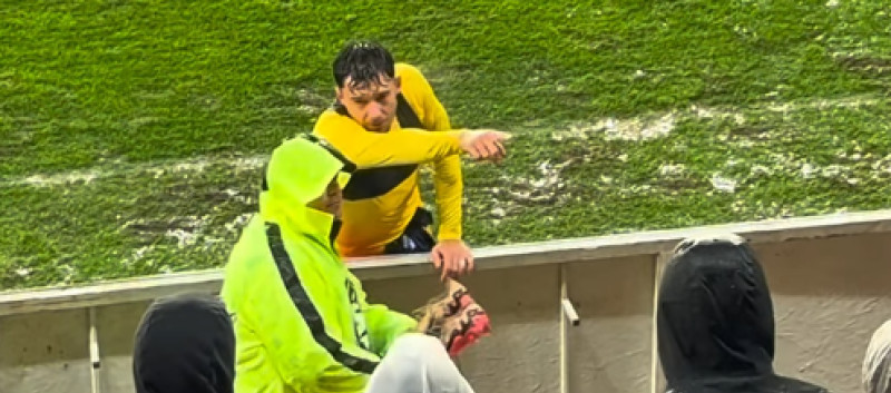 Screenshot 2025-11-19 102011