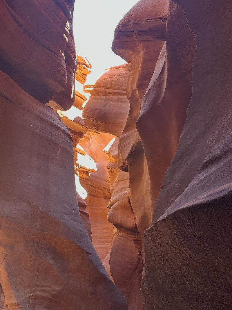 cristinaneaguofficial_1760969196_3747603698441280576_583220329