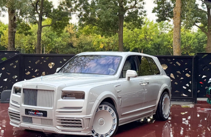 Screenshot 2025-12-18 131646