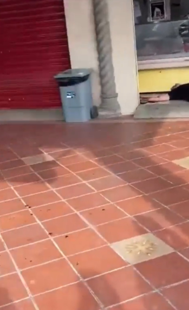 Screenshot 2025-12-18 123855