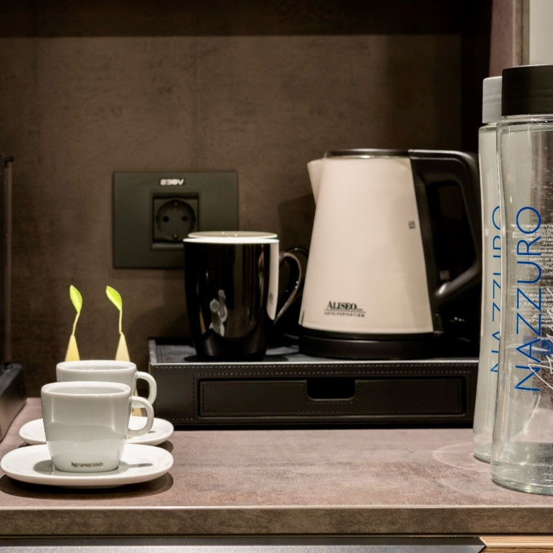 hotelsimonahalep.poianabrasov_1755622849_3702755291535951445_71152917564