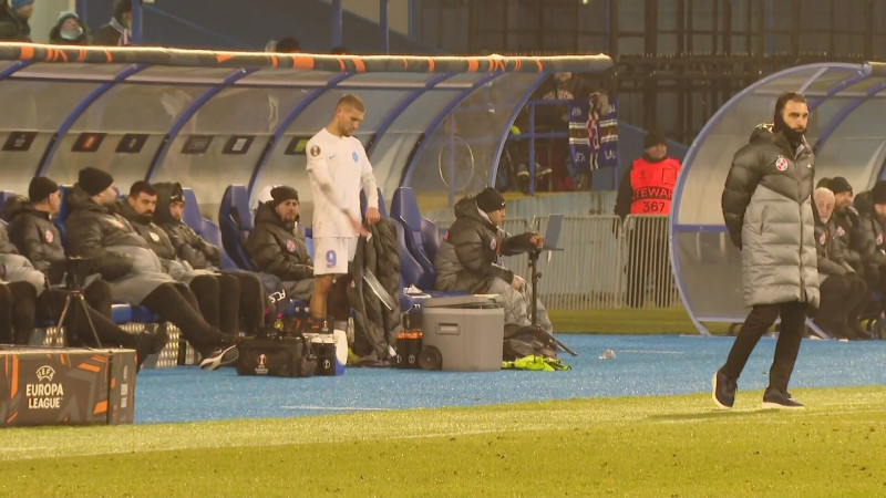 birligea nervos.4jpg