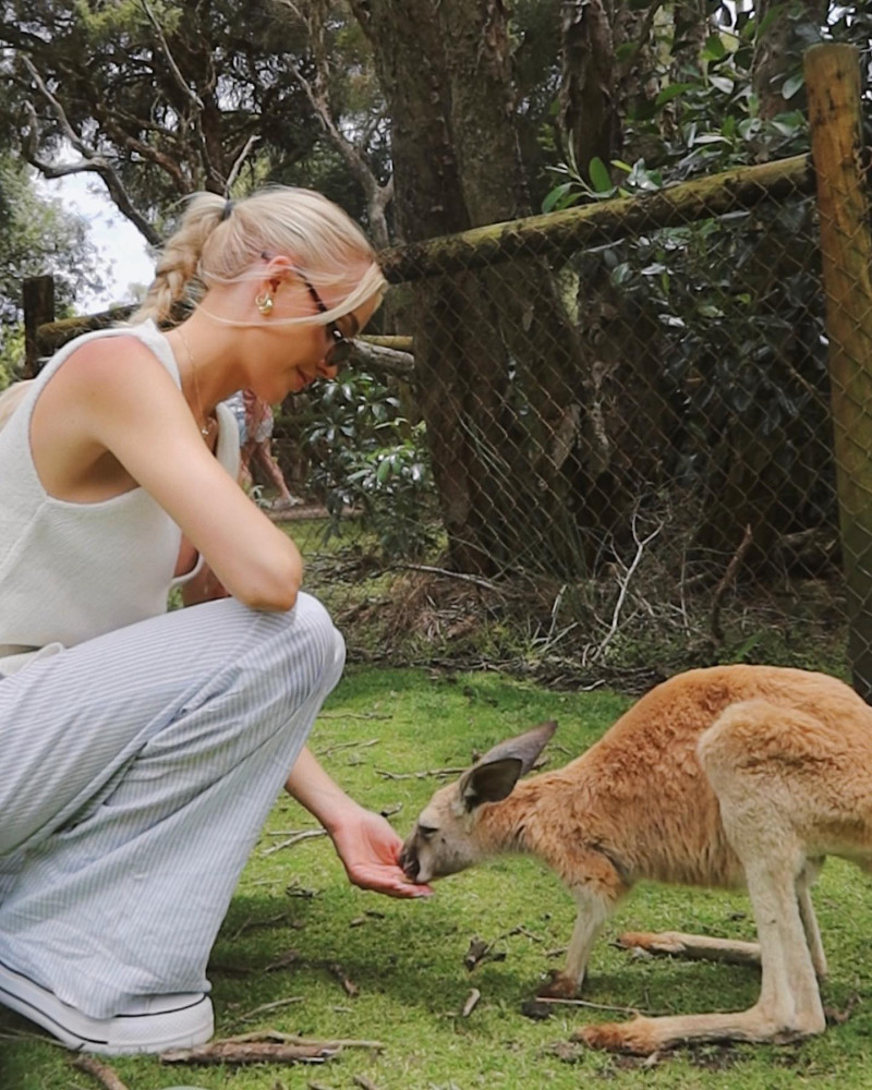 moorrgs_1704122311_3270737463125297410_11910267