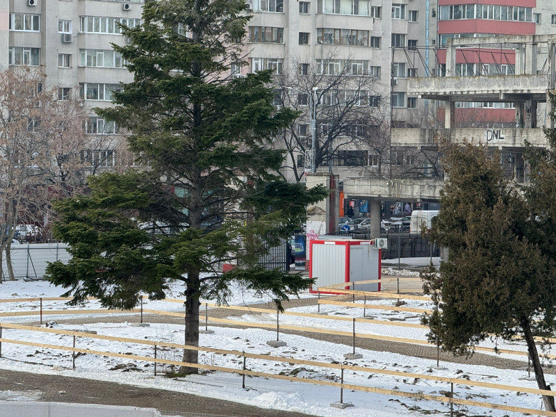 WhatsApp Image 2026-02-04 at 11.11.48