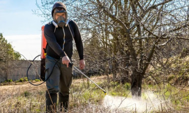 Ce temperatură trebuie să fie afară ca să poți stropi pomii în februarie? Atenție la ploaie și la vânt
