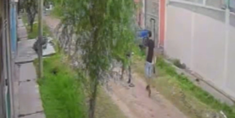 Screenshot 2026-02-10 162131