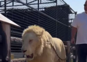 Prima reacție a lui Cosmin Olăroiu, după ce i-a lăsat fără cuvinte pe românii din Suceava blocați la Dubai