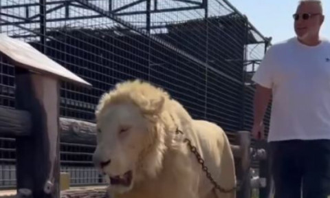 Prima reacție a lui Cosmin Olăroiu, după ce i-a lăsat fără cuvinte pe românii din Suceava blocați la Dubai