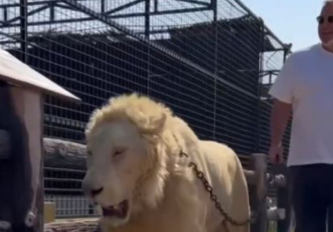 Prima reacție a lui Cosmin Olăroiu, după ce i-a lăsat fără cuvinte pe românii din Suceava blocați la Dubai