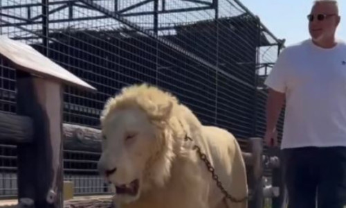 Prima reacție a lui Cosmin Olăroiu, după ce i-a lăsat fără cuvinte pe românii din Suceava blocați la Dubai