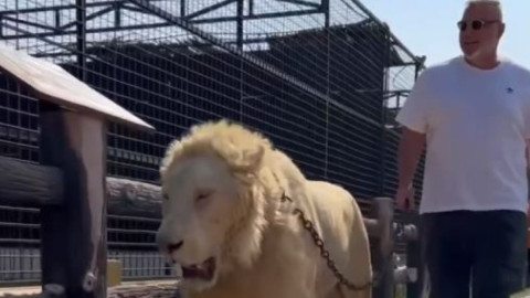 Prima reacție a lui Cosmin Olăroiu, după ce i-a lăsat fără cuvinte pe românii din Suceava blocați la Dubai