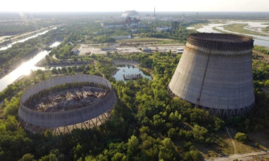 Ciuperca de la Cernobîl, misterioasa creatură care se hrănește cu radiația mortală și prosperă acolo unde viața umană este imposibilă