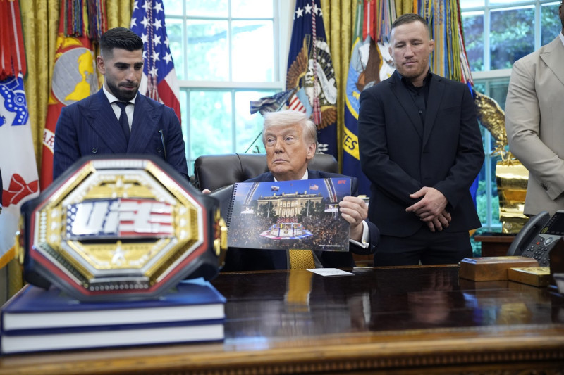 Donald Trump speaks about the UFC fight happening on the South Lawn on June 14 - Washington
