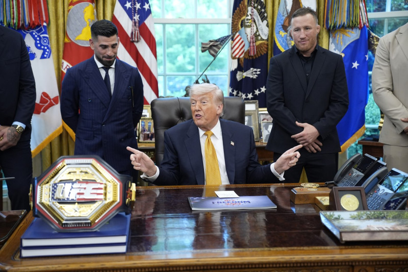 Donald Trump speaks about the UFC fight happening on the South Lawn on June 14 - Washington